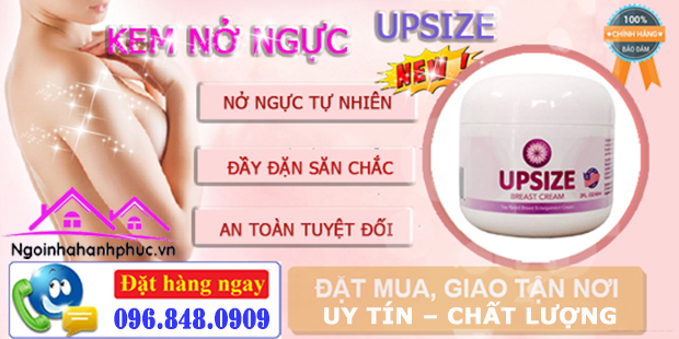 Sản phẩm kem nở ngực upsize bresat cream