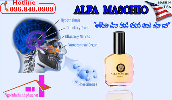 Mua nước hoa kích dục ở đâu. Mua nước hoa kích dục ở đâu.