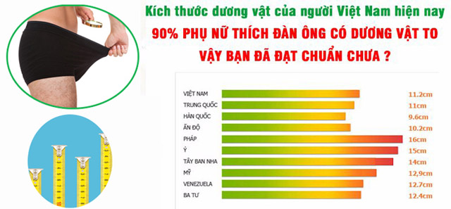 Kích thước dương vật trung bình Việt Nam
