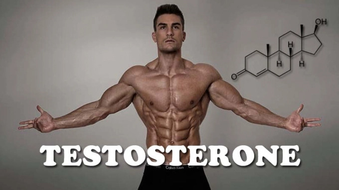 Cách tăng testosterone tự nhiên cho nam giới